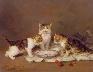 Trois chats, cerises rouges et abeilles